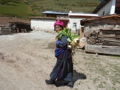 Françoise et Alain - Circuit au Yunnan - Septembre 2014 (12 jours)